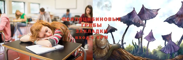 соль курить ск Абаза