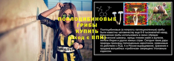 ГАЛЛЮЦИНОГЕННЫЕ ГРИБЫ Абинск