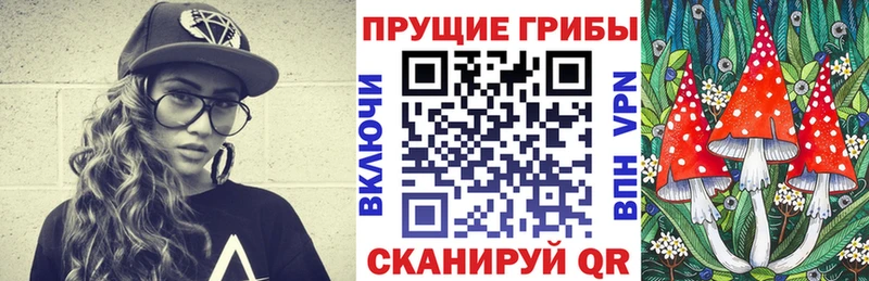 Галлюциногенные грибы Cubensis  это телеграм  Холм 
