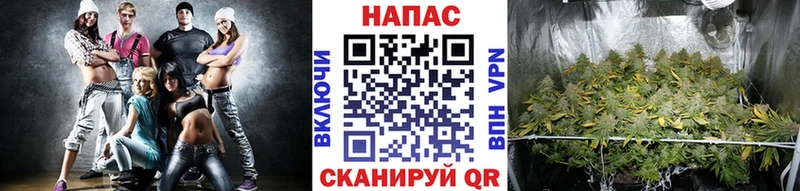 Каннабис семена  Холм 